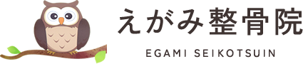 えがみ整骨院
